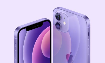 万荣苹果手机维修分享紫色版iPhone 12有什么技术亮点 